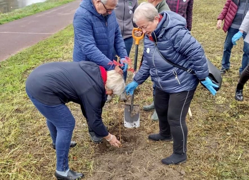 Racibórz w projekcie „Czyste, Zielone Miasta”